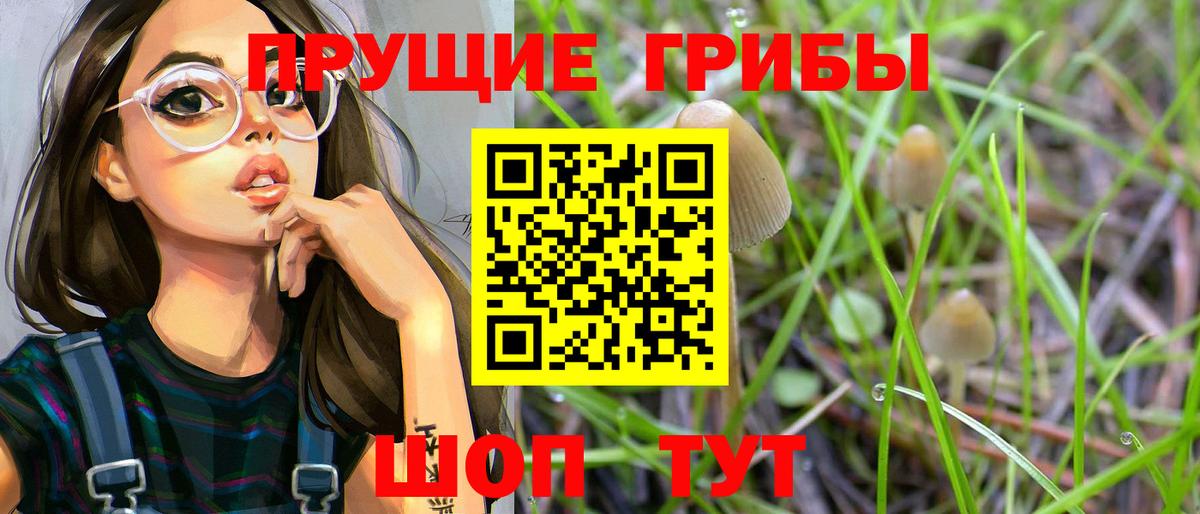 Псилоцибиновые грибы прущие грибы  Псилоцибиновые грибы MAGIC MUSHROOMS  Вход с VPN  Апшеронск 